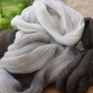 Corriedale Sliver Natural- Ashford