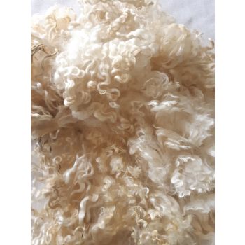 Boucles de toison 100% Wensleydale