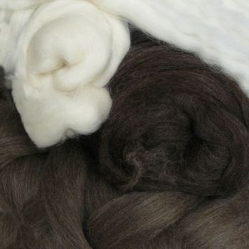 Corriedale Sliver Natural- Ashford