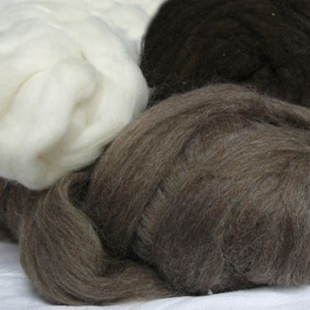 Laine Mèche Mérinos Naturelle - Ashford